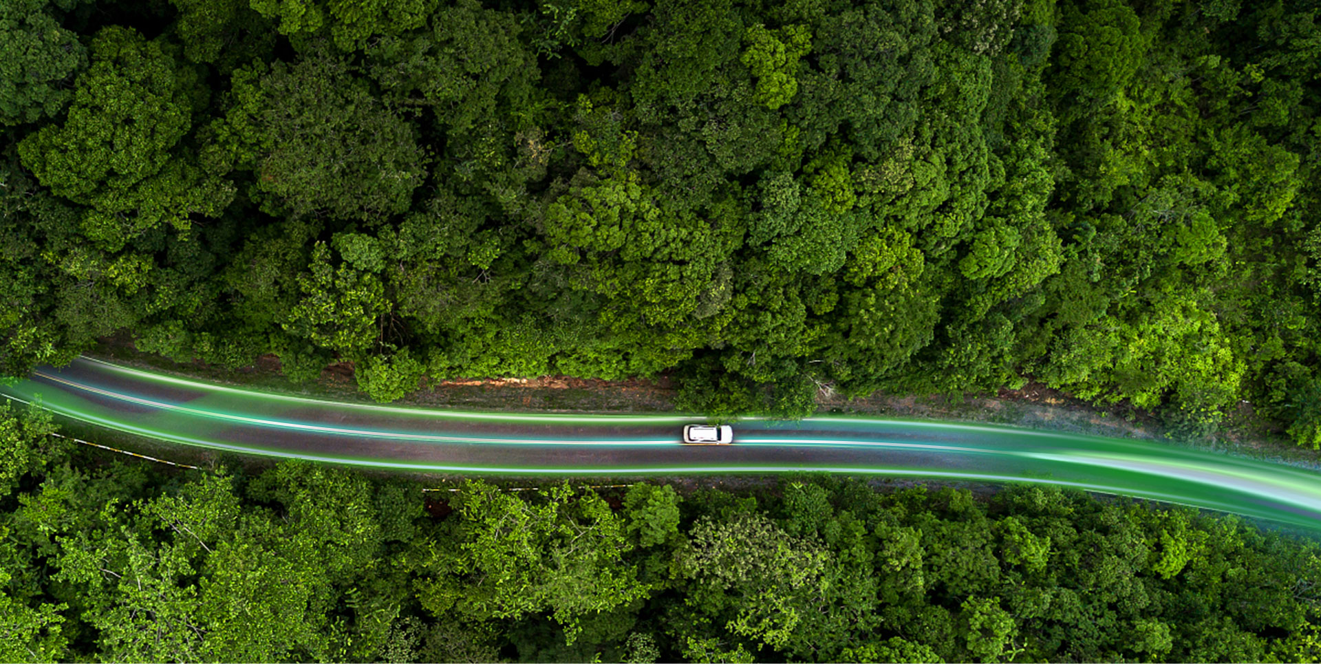 ���ޡ�bwin��Ӯ����(�й�)�ٷ���վ