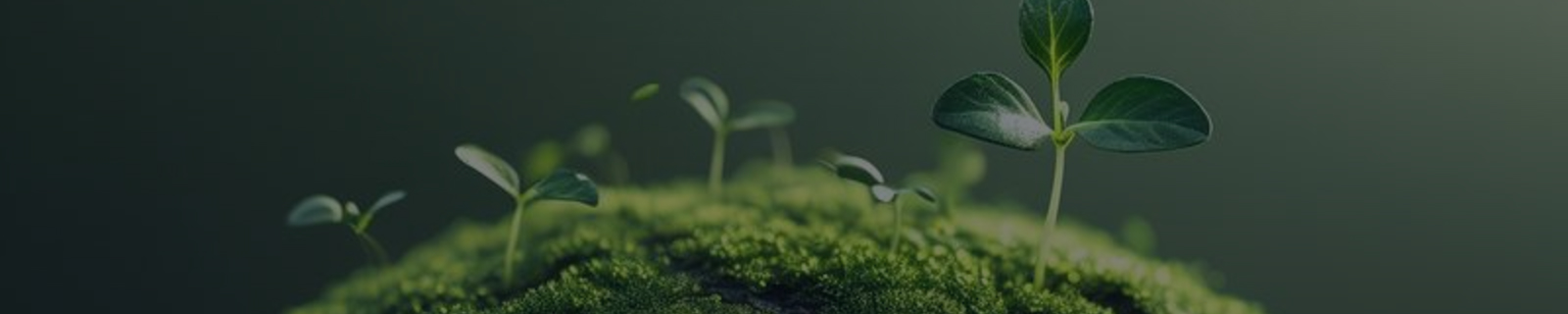 ���ޡ�bwin��Ӯ����(�й�)�ٷ���վ